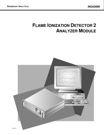 FLAME IONIZATION ETECTOR 2 ANALYZER MODULE - Emerson