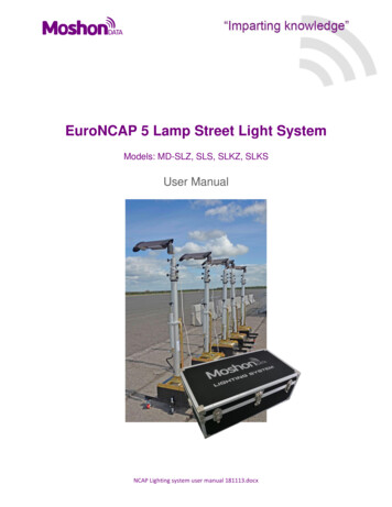 EuroNCAP 5 Lamp Street Light System - MAGUS