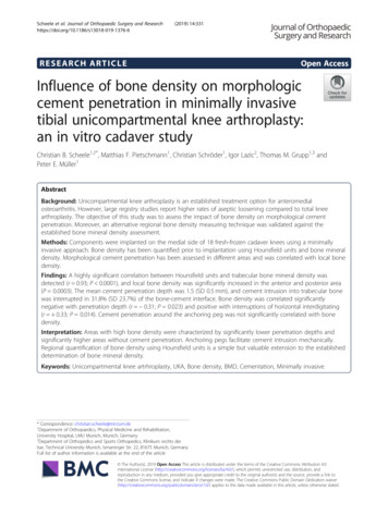 Influence Of Bone Density On Morphologic Cement Penetration In .