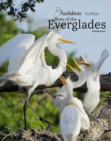 Everglades State Of The - Audubon Florida