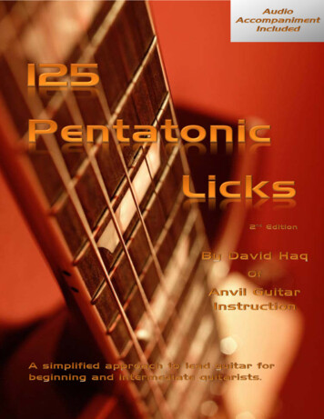 125 Pentatonic Licks - ANVIL GUITAR INSTRUCTION