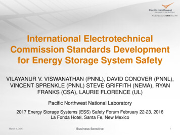 International Electrotechnical Commission Standards .