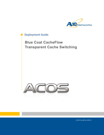 Blue Coat Transparent Cache Switching Deployment Guide