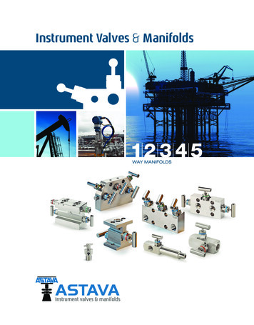 Instrument Valves Manifolds - ASTAVA