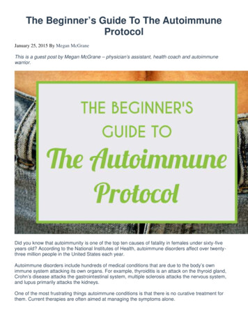 The Beginner’s Guide To The Autoimmune Protocol
