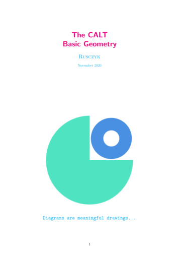 The CALT Basic Geometry