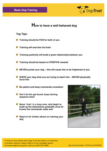 How To Have A Well Behaved Dog - Dogs Trust
