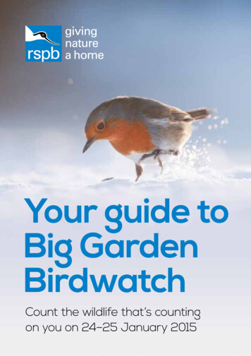 Your Guide To Big Garden Birdwatch - The RSPB