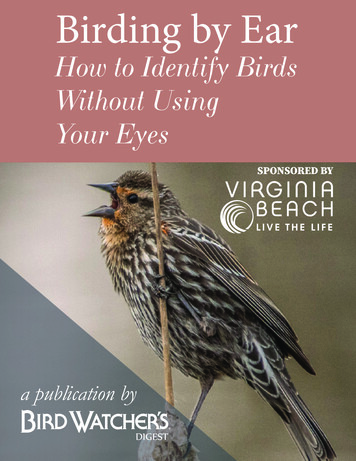 How To Identify Birds Without Using Your Eyes