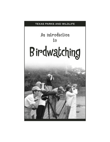 An Introduction To Bird Watching