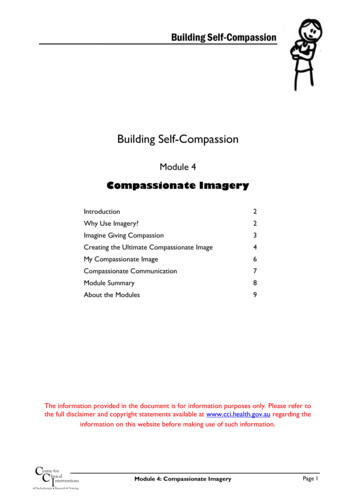 Compassionate Imagery - CCI