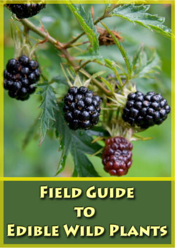 Field Guide To Edible Wild Plants - AMERICA IS MY NAME