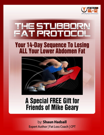 The Stubborn Fat Protocol - Truth About Abs