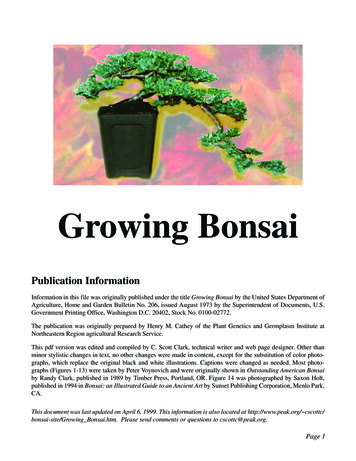 Growing Bonsai - Bonsai Trees - Bonsai Tree Shop