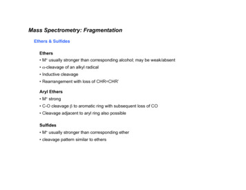 Mass Spectrometry: Fragmentation - Miami University