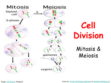 Cell Division - Mitosis & Meiosis Lecture PowerPoint