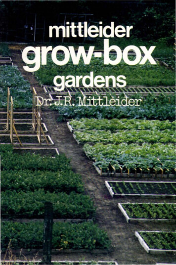 Mittleider Grow-Box Gardens - The Eye