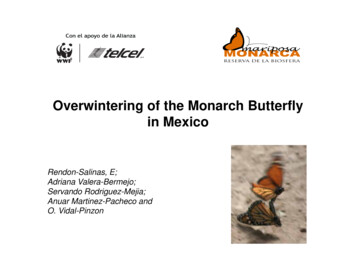 Overwintering Of The Monarch Butterfly In Mexico