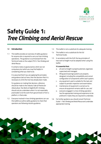 Safety Guide 1: Tree Climbing And Aerial Rescue