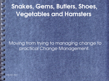 Moving From Trying To Managing Change To Practical Change .