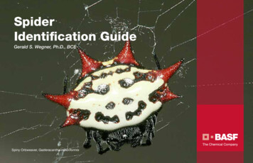 Spider Identification Guide - IPM Institute