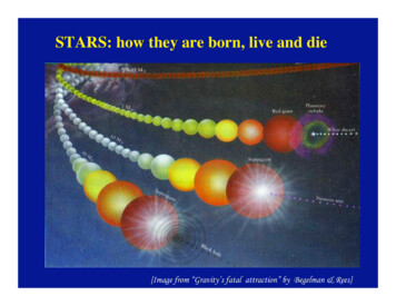 STARS: How They Are Born, Live And Die