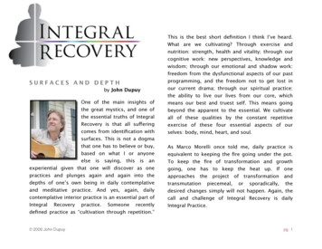 Surfaces And Depths - Integral Recovery