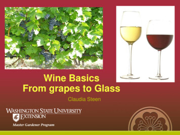 Wine Basics From Grapes To Glass
