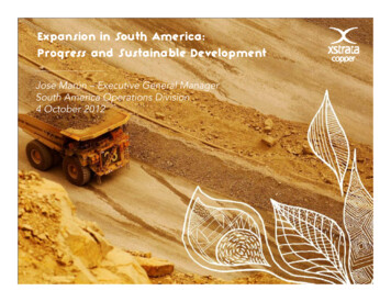 Expansion In South America: Progress And Sustainable .