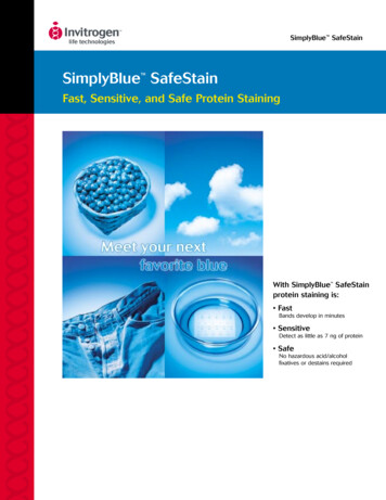 SimplyBlue SafeStain - Thermo Fisher Scientific