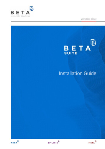 BETA CAE Suite Setup Guide - Auth