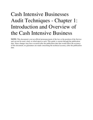 Cash Intensive Businesses Audit Techniques - Chapter 1: Introduction .