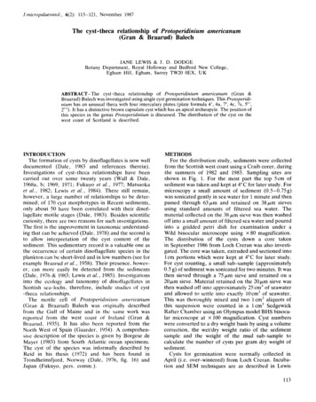 The Cyst Theca Relationship Of Protoperidinium Americanum (Gran . - JM