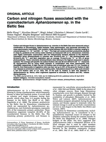 Carbon And Nitrogen Fluxes Associated With The Cyanobacterium .