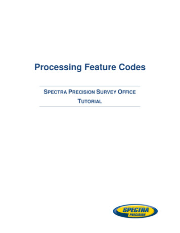 Processing Feature Codes - D W Tech