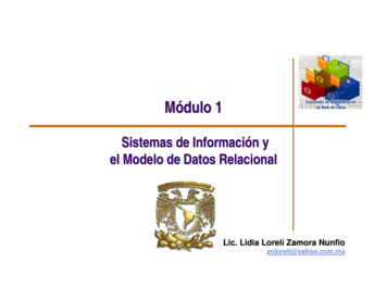 Modulo 1 Sistemas De Informacion - UNAM