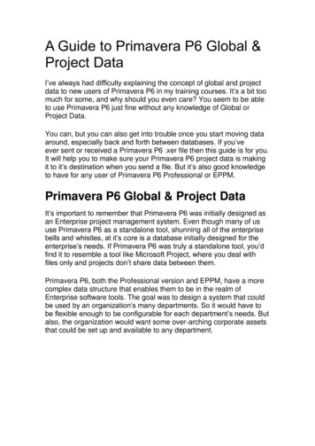 A Guide To Primavera P6 Global & Project Data - Engineering Selection