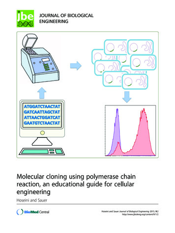 Molecular Cloning Using Polymerase Chain Reaction, An Educational Guide .