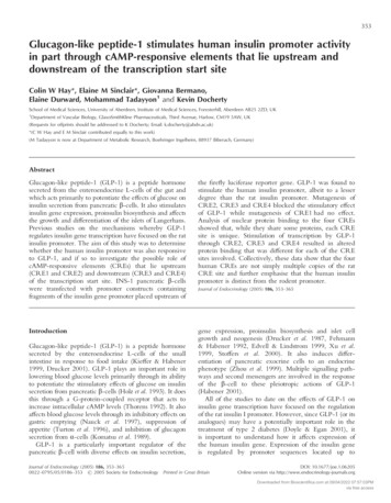 Glucagon-like Peptide-1 Stimulates Human Insulin Promoter Activity In .