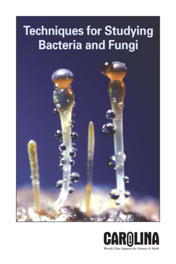 Techniques For Bacteria And Fungi - Fisher Sci