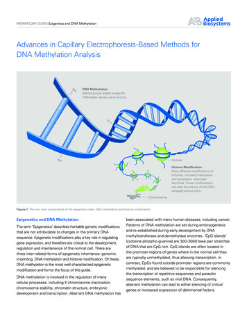 Advances In Capillary Electrophoresis-Based Methods For DNA . - US