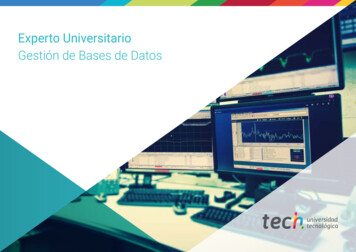 Experto Universitario Gestión De Bases De Datos - Techtitute