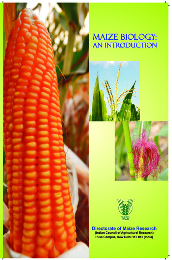 Maize Biology: An Introduction - Icar