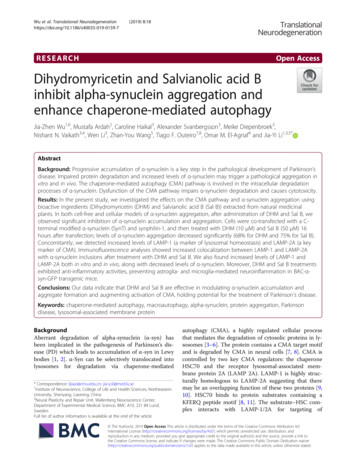 Dihydromyricetin And Salvianolic Acid B Inhibit Alpha-synuclein .