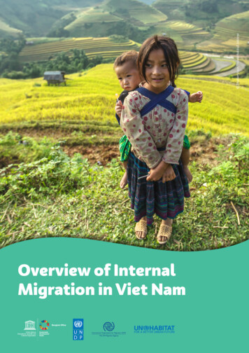 Overview Of Internal Migration In Viet Nam - UNESCO Bangkok