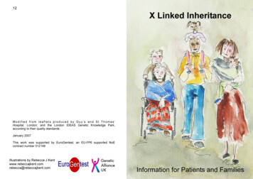 X Linked Inheritance - OUH