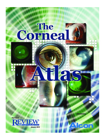 001 Ca0112 Corneal Atlas Ah - Review Of Optometry
