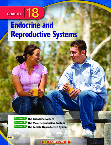 CH18-Endocrine And Reproductive Systems - Chico Unified School District