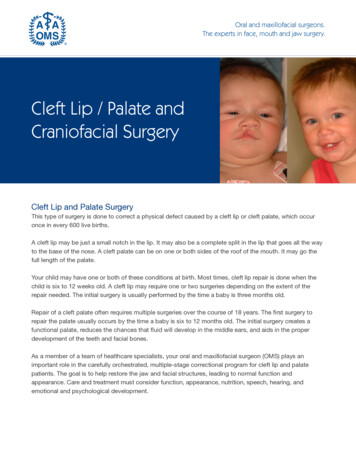 Cleft Lip / Palate And Craniofacial Surgery - Myoms 