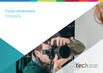 Curso Universitario Fotografía - Techtitute